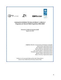 Evaluación de Medio Término de Efecto 1 y Efecto 2 Programa de País de PNUD Argentina 2016-2020