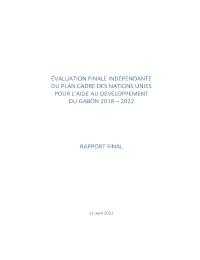 UNDAF final evaluation