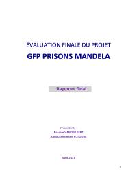Final Evaluation of capacity building prison project