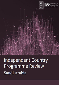 Independent Country Programme Review: Saudi Arabia 