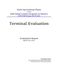 FSP Sixth Operational Phase of the GEF-SGP - Terminal Evaluation