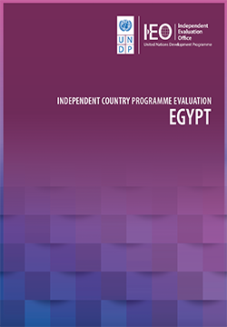 Independent country programme: Egypt