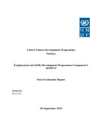 Final Evaluation for Employment and Skills Development Programme Component I (ESDP I)
