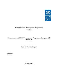 Final Evaluation for Employment and Skills Development Programme Component II (ESDP II)