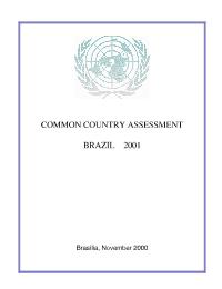 Brazil's Country Programme Evaluation - Commom Country Assessement