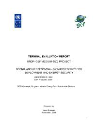 Terminal Evaluation of Biomass Energy for Employment and Energy Security Project