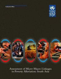 Assessement of micro macro linkages in poverty alleviation: South Asia