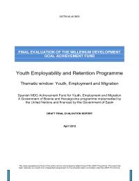 The Millennium Development Goal Achievement Fund (Bosnia and Herzogovina): Youth Employability and Retention Programme