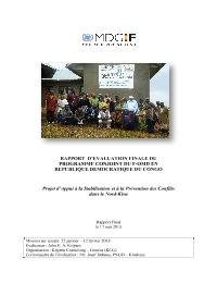 Final evaluation of MDGF joint project