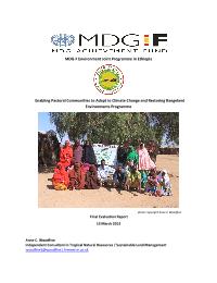 Final/Terminal Evaluation of the MDGF Environment Joint Programme