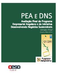Evaluation of the Angolan Enterprise Programme (AEP) and the Growing Sustainable Business Initiative (GSB) Projects