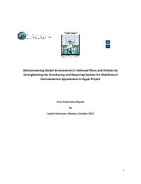 Mainstreaming Global Environment in National Plans and Policies by Strengthening the Monitoring and Reporting System for Multilateral Environmental Agreements in Egypt Project