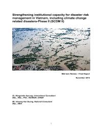 Mid- Term Evaluation for Strengthening Institutional Capacity for Disaster Risk Management in Viet Nam, including for Climate Change Related Risks Phase II