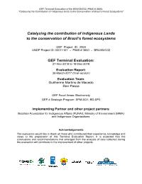 BRA09/G32 -Catalyzing the contribution of Indigenous Lands to the conservation of Brazil’s forest ecosystems