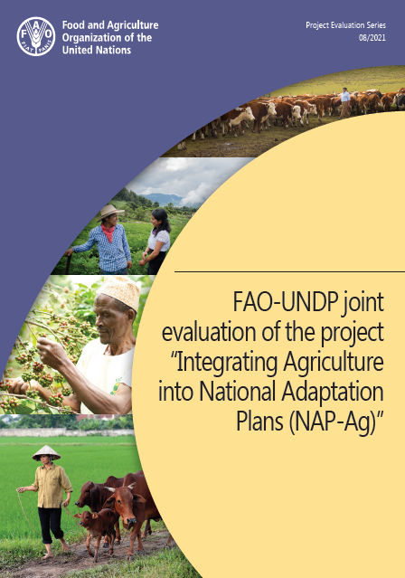Terminal Evaluation: Assisting Least Developed Countries (LDCs) with country-driven processes to advance National Adaptation Plans (NAPS) (PIMS 5246)