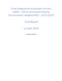 Final programme evaluation on Joint UNDP-UNEP Poverty Environment Initiative (2013-2018)
