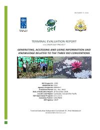 Terminal Evaluation of the Generating, Accessing and Using Information and Knowledge Related to the Three Rio Conventions Project