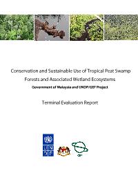 Conservation and Sustainable Use of Tropical Peat Swamp Forests and associated Wetlands Ecosystems