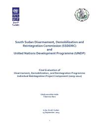 Disarmament, Demobilization and Reintegration (DDR) final project evaluation 