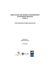 Final Evaluation and Impact Assesment of Innovations for Women’s Empowerment in Southeast Anatolia-Phase 2 (IWEP-2) 