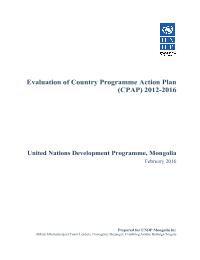 Evaluation of Country Programme Action Plan (CPAP) 2012-2016